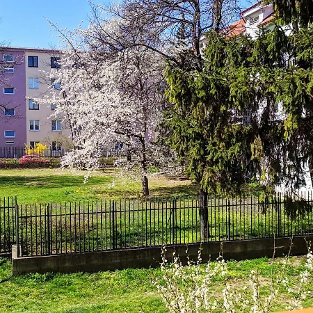 Apartament Stare Mesto 公寓 *
