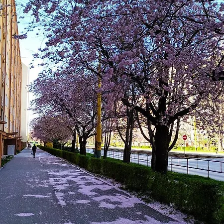 Apartament Stare Mesto アパート *
